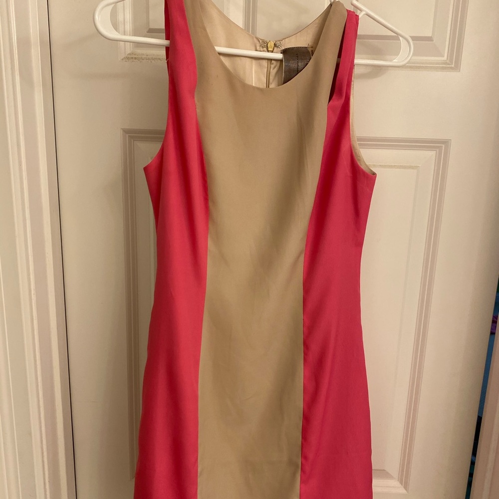 Pink and Tan Dress